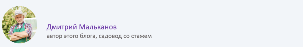 Как правильно подготовить семена томатов перед посадкой?