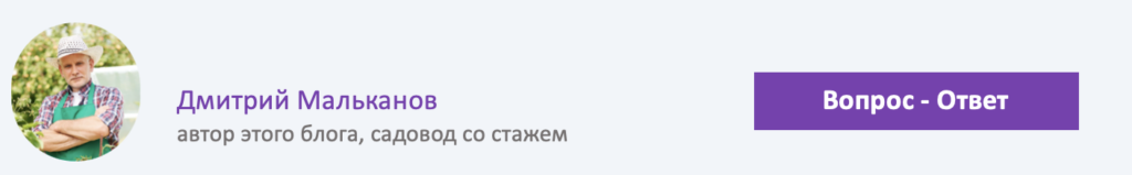 Сроки и особенности пикировки саженцев помидоров